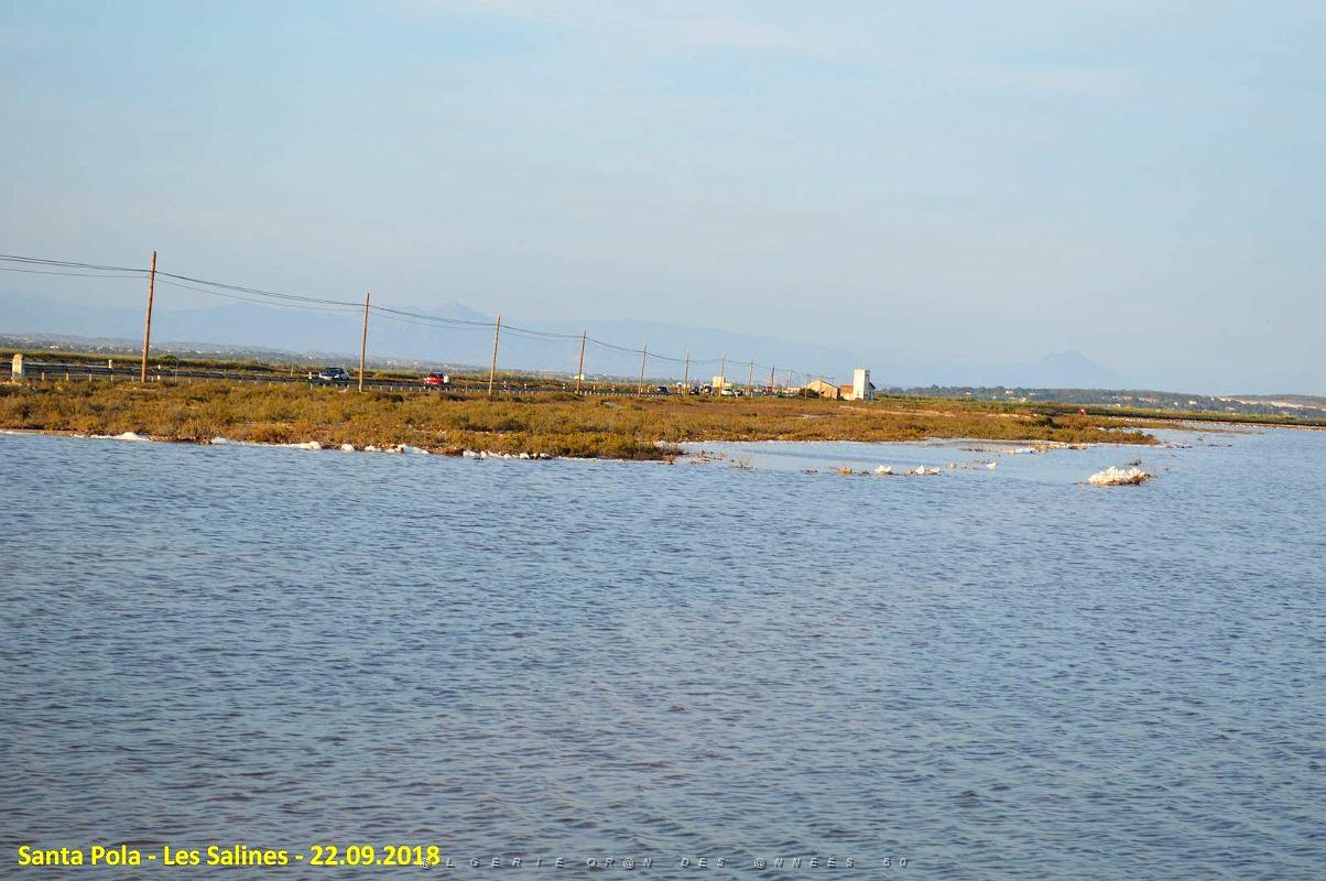 33 SANTA POLA LES SALINES (32).JPG